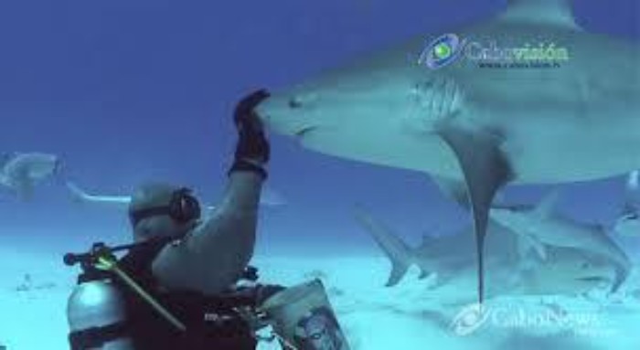 Cabo Pulmo - The Underwater Paradise