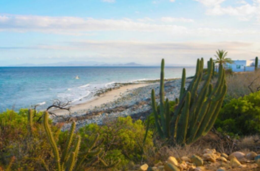 Beachfront Lots East Cape