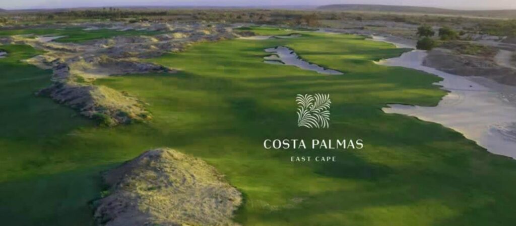 Costa palmas